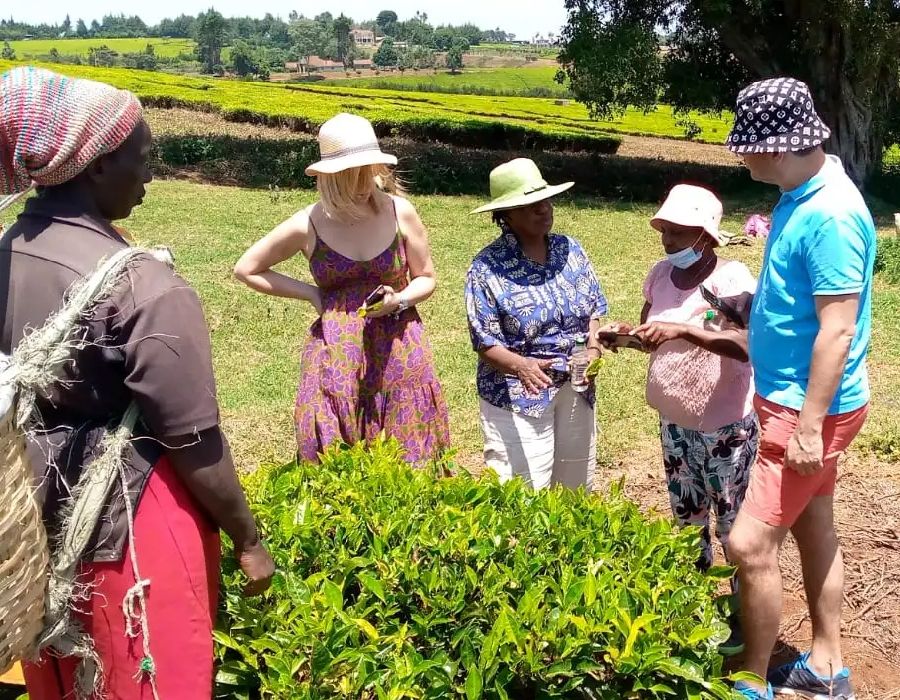 Guests learning from a tea picker in the fields