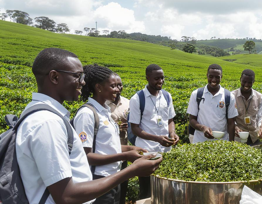 Student Tea Factory Tour