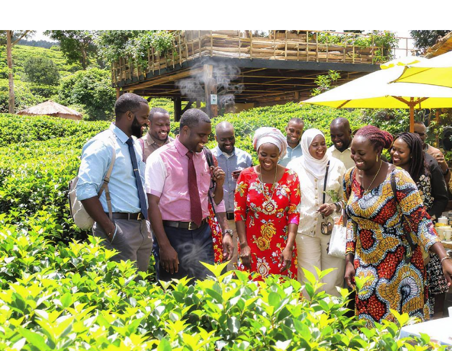 Group Tea Factory Tour